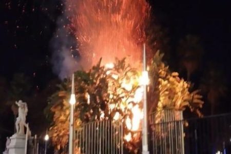 alberi in fiamme: Incendio Napoli